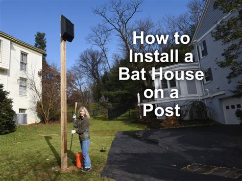 galvanized sheet metal for bat houses|bat house installation.